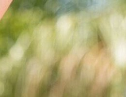 Катрна — фото 5