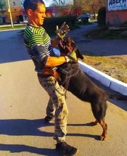 Алекс — фото 4