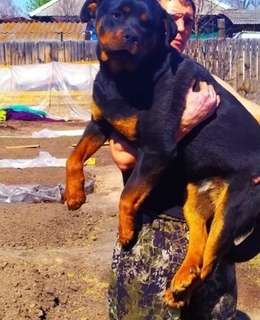 Алекс — фото 2